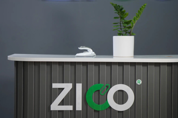 اتو بخار دستی ZC2055 مناسب برای سفر کاری