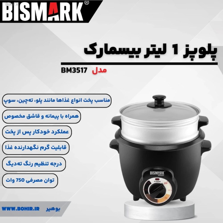 ته دیگ طلایی در پلوپز بیسمارک