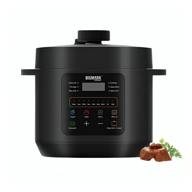 پنل کنترل لمسی پلوپز زودپز بیسمارک مدل BM3503